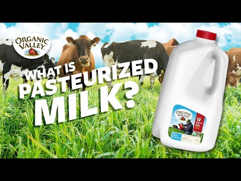 Video: Pasteurized Milk: What Is The Difference?