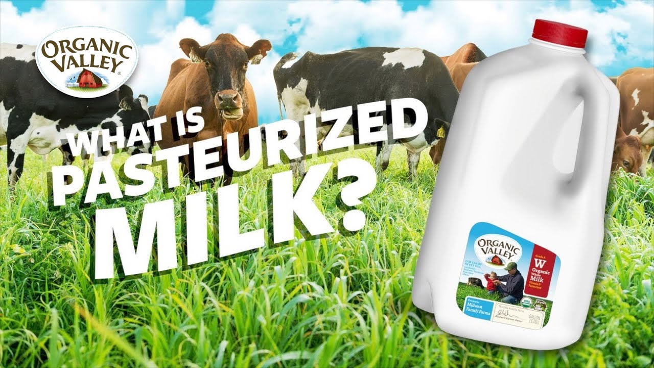 What is Pasteurized milk? | Ask Organic Valley | ข้อมูลทั้งหมดที่ ...