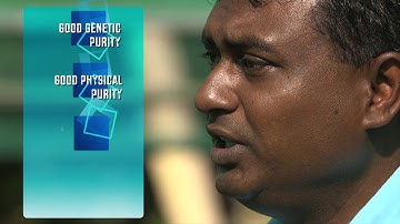 EU-SPC IKSA Project (Sugar Projects): Getting Started - The Importance of Seed