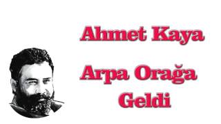 Ahmet Kaya Arpa Orağa Geldi Resimi