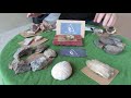 Unboxing some Florida surprises