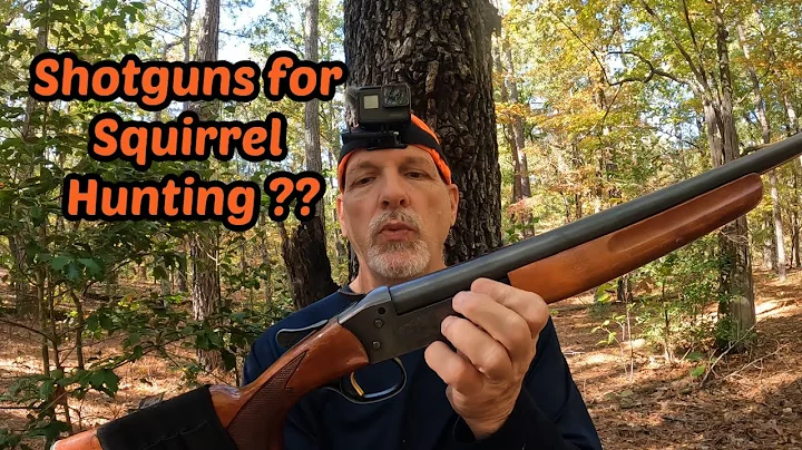 Why Use a Shotgun for Squirrel Hunting ?? -    Squirrel Hunting