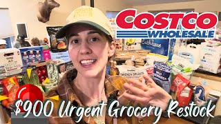 $900 Costco Grocery Haul for a Pantry Restock! 