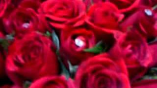 MOV00142.MP4