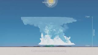 Simulation of an isolated Thunderstorm | Cumulonimbus
