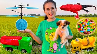 Puppies lead Changcady to find animal toys: find flying dinosaur eggs - Part 75