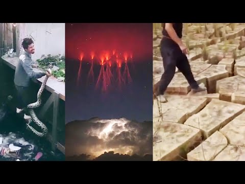 MOST STRANGEST THINGS OF 2023 | HAPPENINGS AROUND THE WORLD | YOU SHOULDN'T MISS