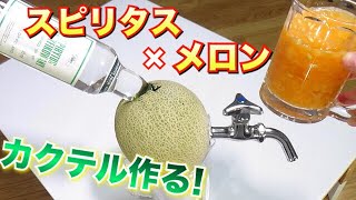 【スピリタス×メロン】本格カクテルをメロンスピリタスで作る！