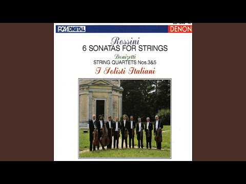 String Quartet No. 5 in E Minor: III. Minuetto - Presto