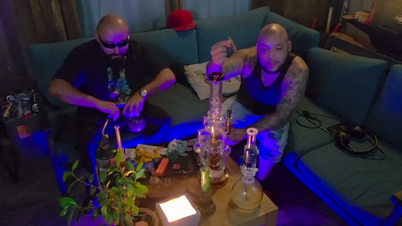 Don Pelon • Purple Leaves (Official Video)