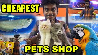 CATS & DOGS , FISHES & BIRDS FOR SALES / Exploring Biggest Wholesale Aquarium and Petsshop