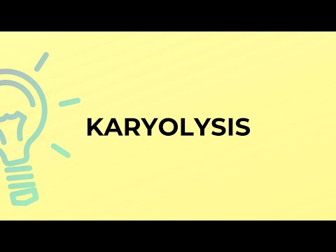 لفظ KARYOLYSIS کا کیا مطلب ہے؟