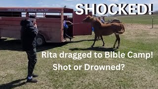 Drowning or shooting  which works best? Rita leaves the farm and SO MUCH MORE.