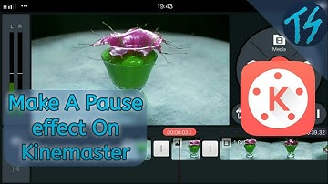 How To Make A Pause Effect on Kinemaster | Freeze Effect On Kinemaster