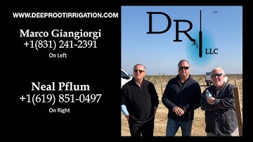 Almonds Farmer Dave Cuts Water Use By 66% With DRI