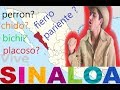 diccionario SINALOA 🇲🇽👨‍🌾 (modismos de México)