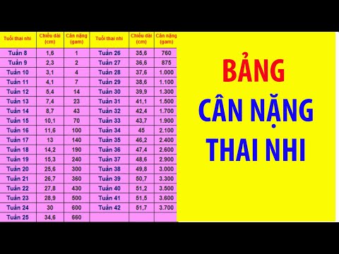 cân nặng thai nhi - bảng cân nặng thai nhi chuẩn theo tuần tuổi