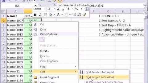 Excel Magic Trick 432: Find & Extract Duplicate Records