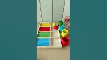 Color Sorting Wooden Balls ASMR | Satisfying Filling Cups with Colors #asmr #marbles #satisfying