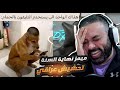 ميمز نهاية السنة 2025 وداعا تحشيش عراقي 