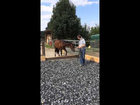 IMG 1741
