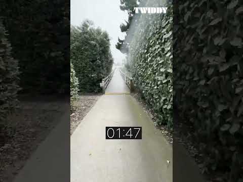 Watch Video