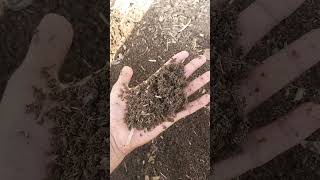 Download Lagu Gandul khat project  MP3