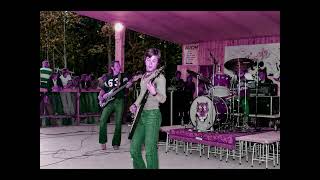 Hurriganes - I Can't Get the Feeling