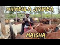NHIMBULA JIYUMBA MAISHA 0759 946 558 PRD MBASHA STUDIO 2026 