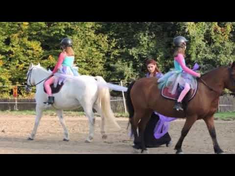 Video: Međunarodna Pasmina Konja Konja Hipoalergijska, Zdravlje I životni Vijek