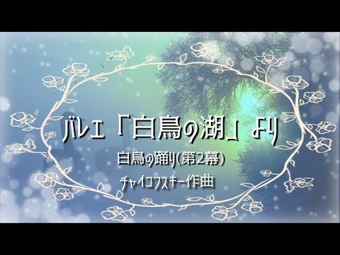 チャイコフスキー バレエ「白鳥の湖」より 白鳥の踊り(第2幕)