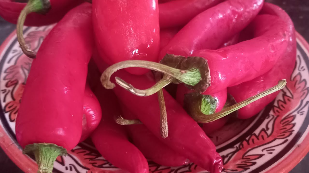 اسهل طريقة باش تصاوبي الهريسة ديال الدار🌶🌶