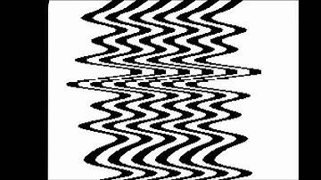 Critter & Guitari - Black & White Video Scope