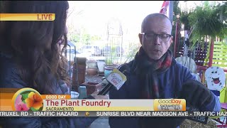 Plant Foundry Stocking Stuffers