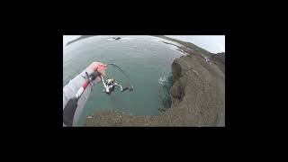 Aussie Salmon on Light Tackle