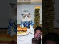 Love#burger🍔#thatlittlepuff#🙄😋#tonight#🤨#viral #shorts #video #cat 🐱#the 💞😋