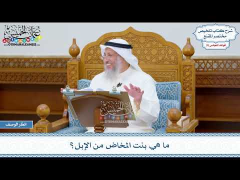 1827 - ما هي بنت المخاض من الإبل؟ - عثمان الخميس
