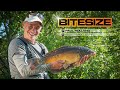 Paul Holland Pellet Waggler Masterclass