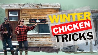This Is How We Winterize & Maintain Our Chicken Coop In The Winter by Wilderstead 5,341 views 1 year ago 7 minutes