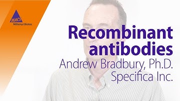Recombinant antibodies in flow cytometry – An expert in antibody development shares his opinion