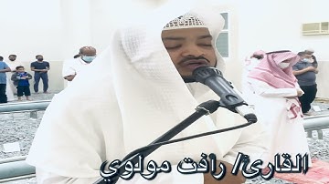تراويح ليلة(٢٤)١٤٤٢ القارئ/ رأفت مولوي