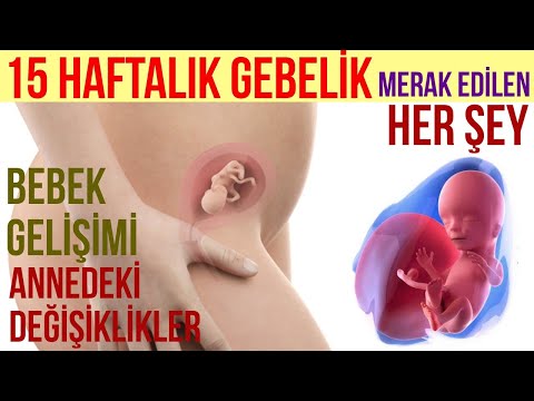 faq 15 haftalik bebek hangi meyveye benzer anaokullari ve okul oncesi egitim