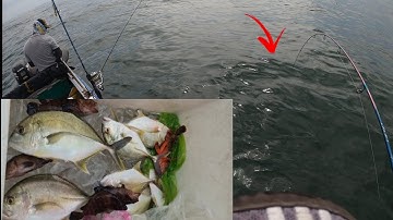 Câu jig cá biển cùng ae,câu cá cá bè cá mú tại hòn lao mũi né.Câu cá gần bờ@