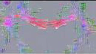 Diffusion Tensor Imaging of Human Brain Gordon Kindlmann