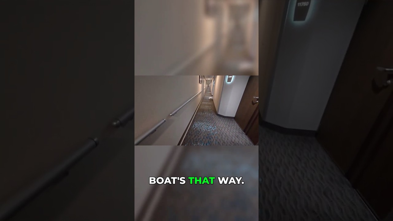 This Fish Trick Happens Every Single Time #ocean #cruise #shorts