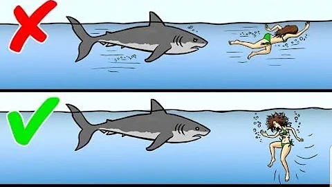 How to Survive Wild Animal Attacks