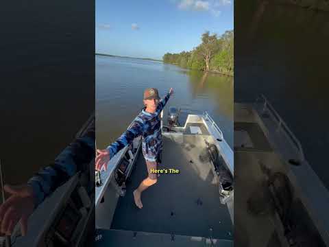 جولتي مع كوينتركس رينيجيد 