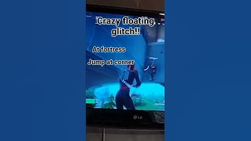 Crazy float glitch sub for more
