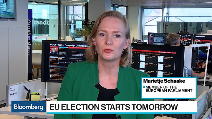 EU Citizens Must `Turn Up and Vote' to Limit Rise of Populism: Lawmaker