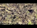 Fpv Drone dropping Presents